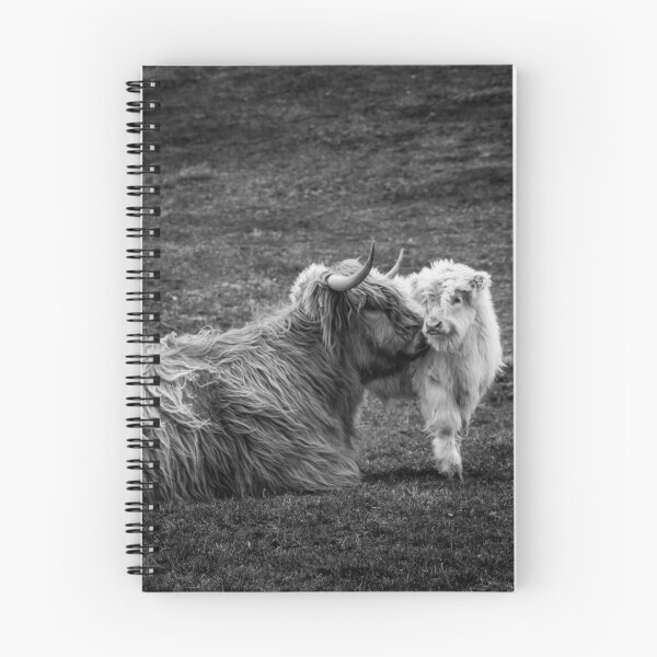 Item preview, Highland Coo and Calf, Scottish Borders designed and sold by yourscotborders.
