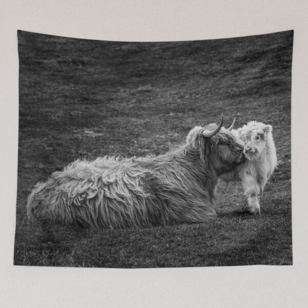 Item preview, Highland Coo and Calf, Scottish Borders designed and sold by yourscotborders.
