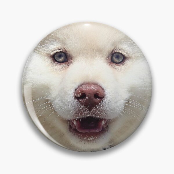 Item preview, Fluffy White Dog Face designed and sold by theblueofmyeye.