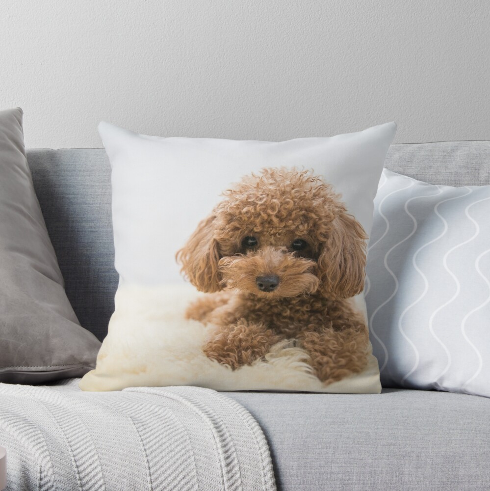 poodle body pillow