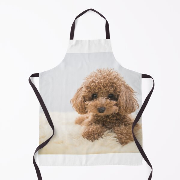 Item preview, Curly-Haired Toy Poodle designed and sold by Mohit Sebastian.