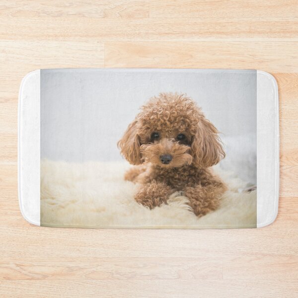 Item preview, Curly-Haired Toy Poodle designed and sold by Mohit Sebastian.