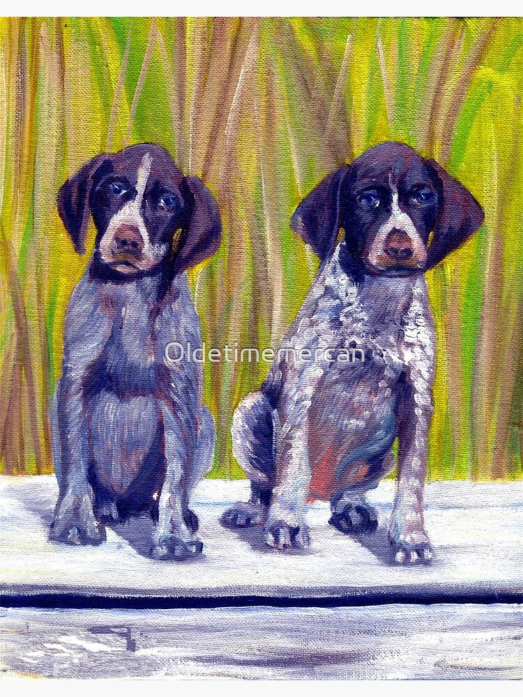 German Shorthaired Pointer Puppies Greeting Card By