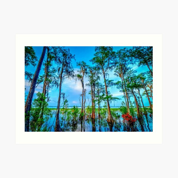 Palm Trees - Lake Russel, Florida Art Print