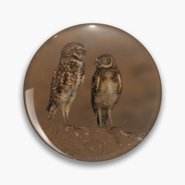 Item preview, Burrowing owls designed and sold by -MissManda-.