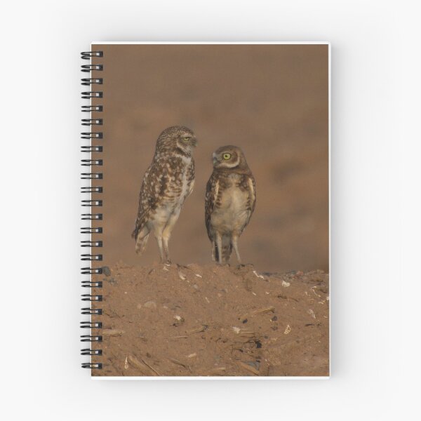 Item preview, Burrowing owls designed and sold by -MissManda-.