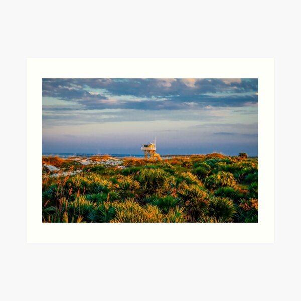 Dunes & Sawgrass Art Print