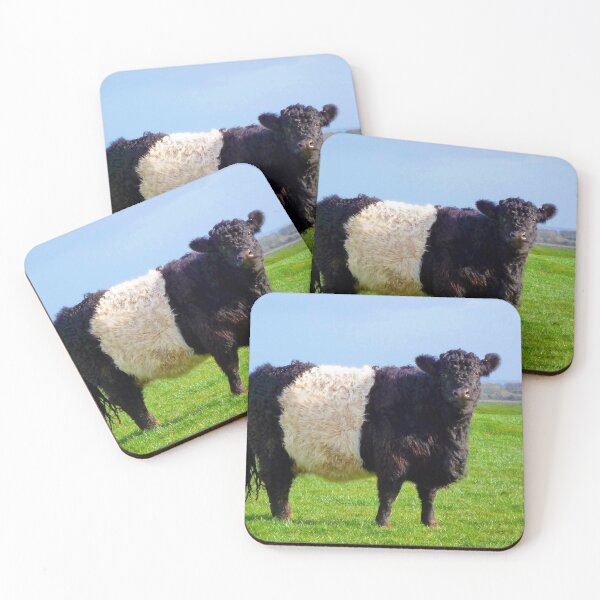 Item preview, Belted Galloway Bull designed and sold by derekbeattie.