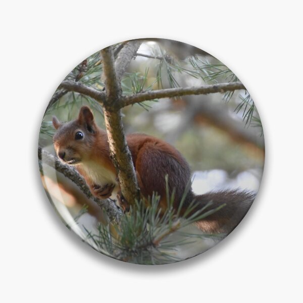 Item preview, Looking for me? designed and sold by Bente Agerup.