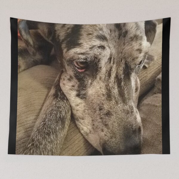 Item preview, Sleepy MooseDog designed and sold by MooseDogPhotos.