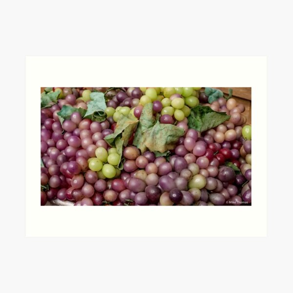 From The Vineyard Art Print
