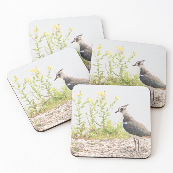 Item preview, Lapwing designed and sold by LaurenTucker.
