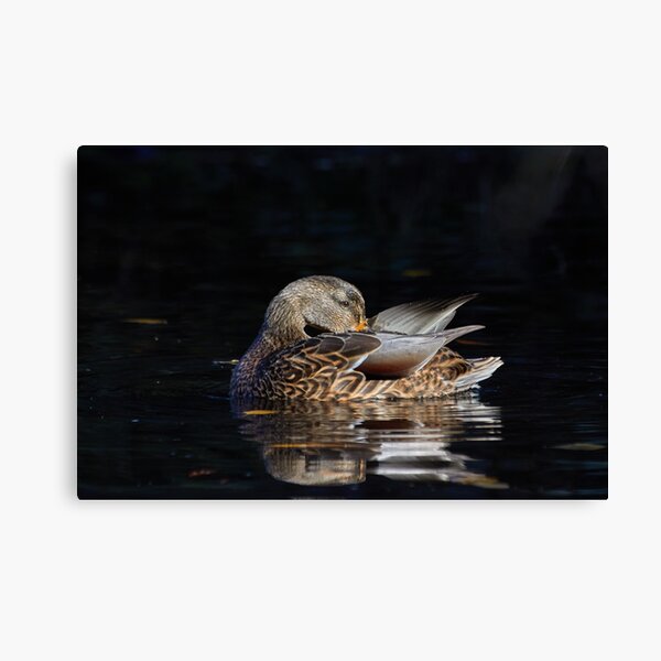 Item preview, Reflecting Duck2 designed and sold by couragesings.