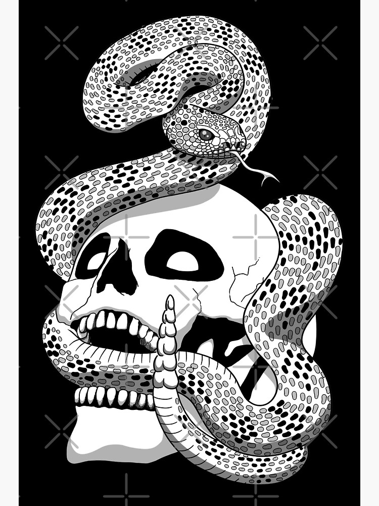 rattlesnake face drawing