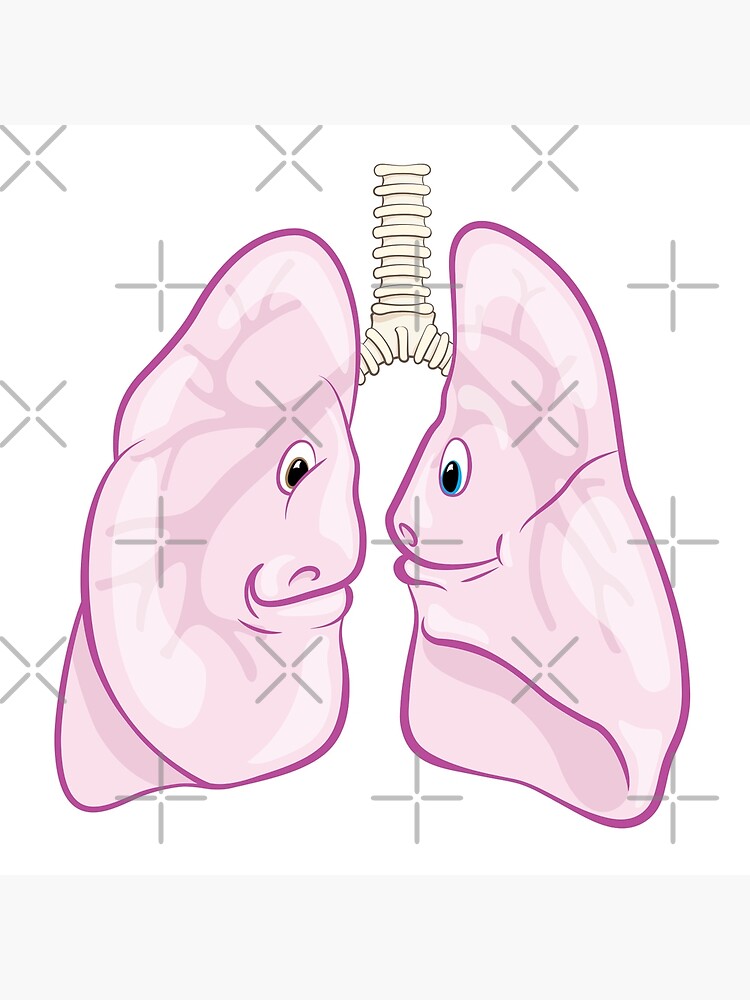 Lámina rígida «Ilustración de dibujos animados médicos de anatomía y  fisiología de pulmones lindo» de Zit-Zat-Zot | Redbubble