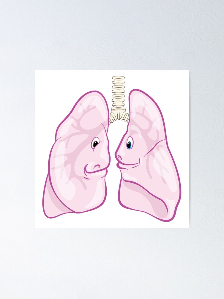 Póster «Ilustración de dibujos animados médicos de anatomía y fisiología de  pulmones lindo» de Zit-Zat-Zot | Redbubble