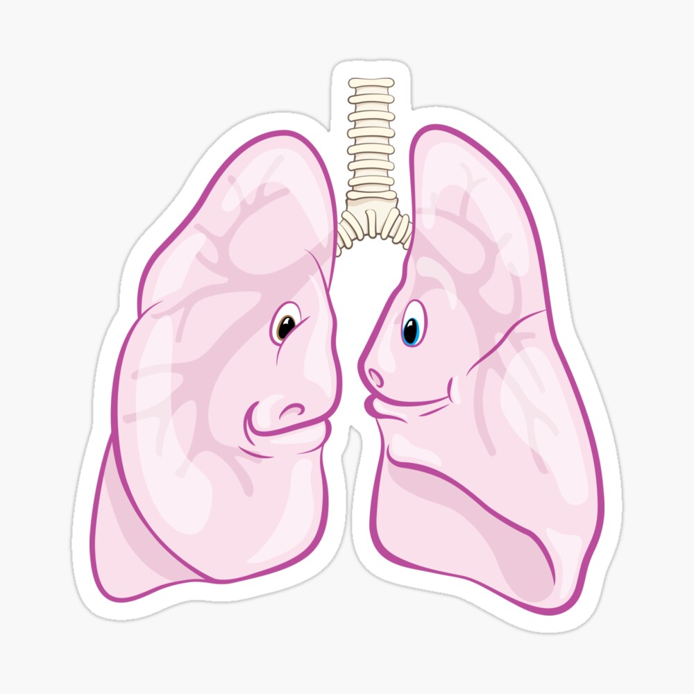 Cute Lungs Anatomy and Physiology Medical Cartoon Illustration