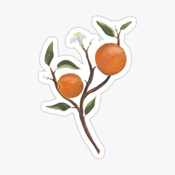 Oranges Sticker