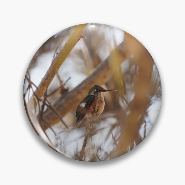 Item preview, Amethyst Woodstar Hummingbird designed and sold by anafrancisconi.