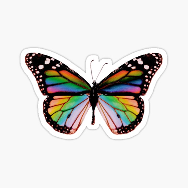 BUTTERFLIES SINGLE DUVET COVER SET KIDS FREE BUTTERFLIES SPARKLE STICKERS 