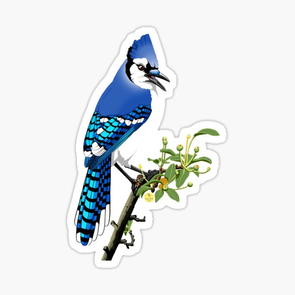 Item preview, Blue Jay designed and sold by BennuBirdy.