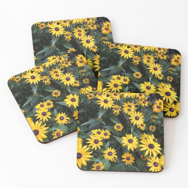 Aperçu de l'œuvre Susan aux yeux noirs (Rudbeckia hirta) créée et vendue par joshuarainbird.