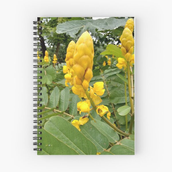 Artikelvorschau, Gelbe Blumen entworfen und verkauft von Praniket.