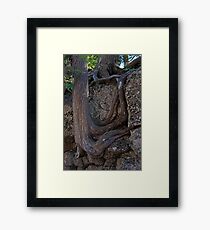 Intertwined Roots Framed Print