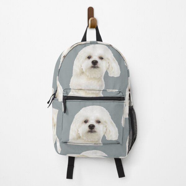 Maltese puppy Backpack