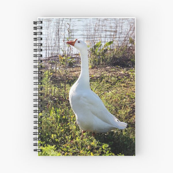 Item preview, ♫Goosey Goosey Gander♫ designed and sold by heatherfriedman.
