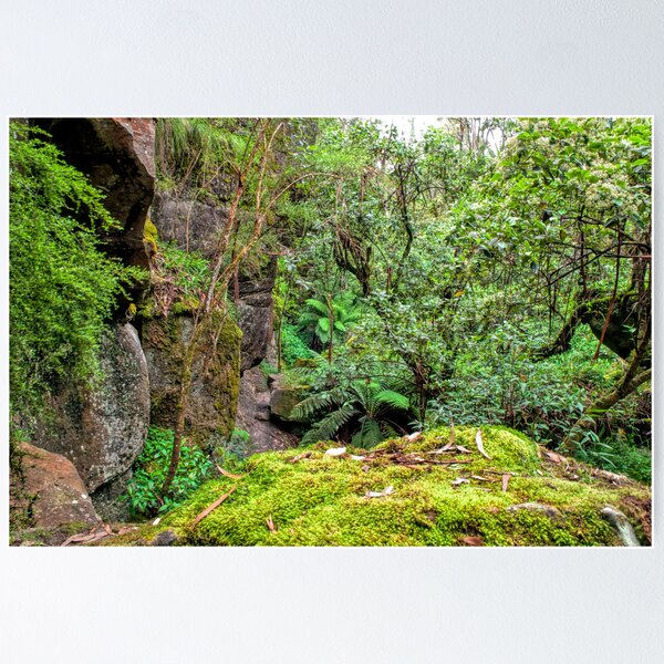 Item preview, The Rocky Path designed and sold by John Sharp.