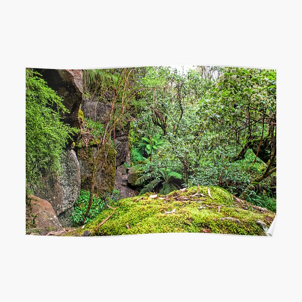 The Rocky Path Poster