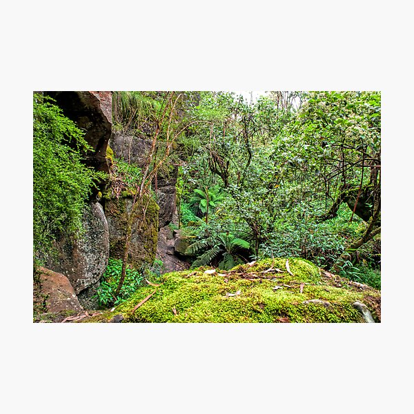 The Rocky Path Photographic Print