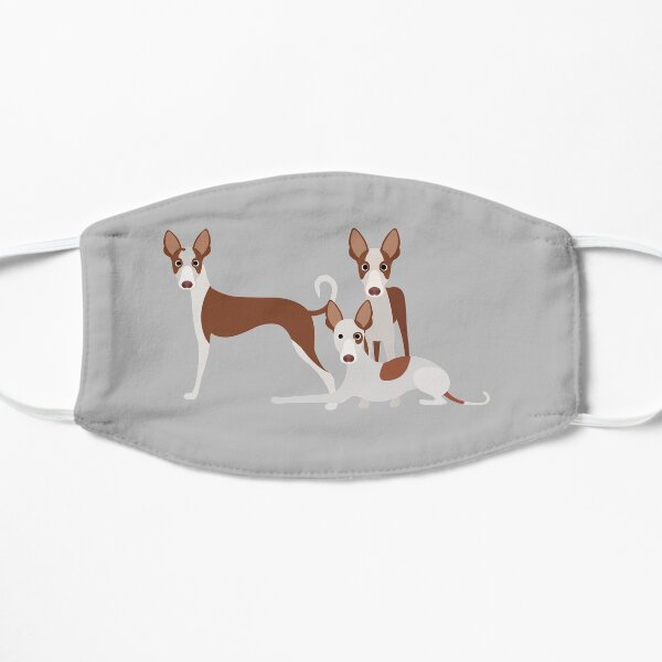 Ibizan Hound Hunderasse Maske