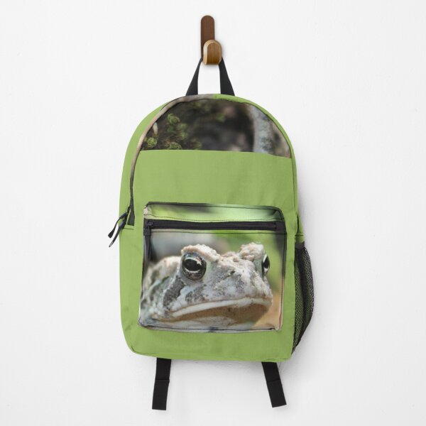 Item preview, Todd the Toad visiting my North Carolina garden designed and sold by aprilann.