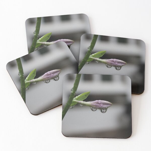 Item preview, porch reflections designed and sold by aprilann.