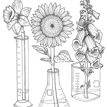 Artwork thumbnail, Flowers and Lab Glassware by julierorrer