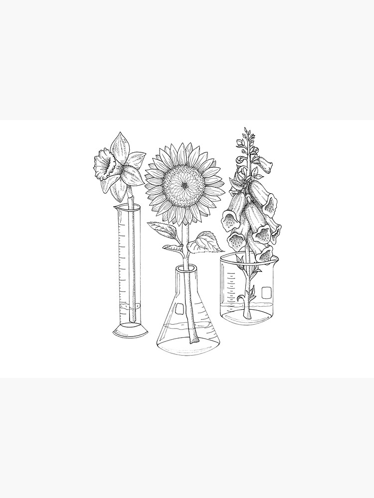 Flowers and Lab Glassware by julierorrer