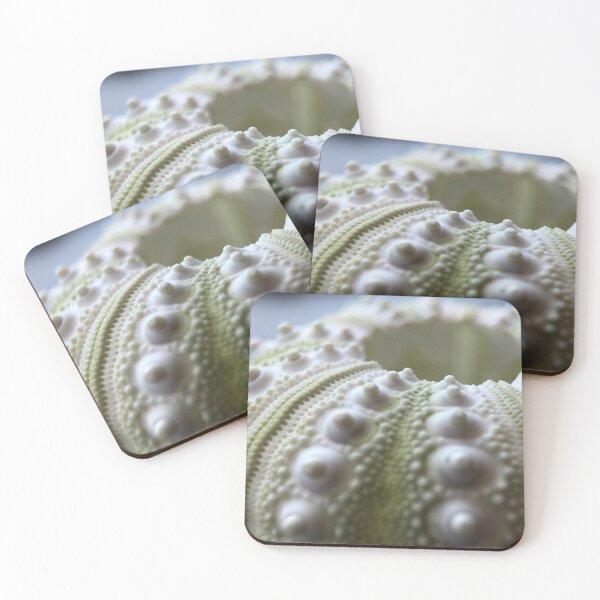 Item preview, Pencil Urchin Test designed and sold by MotherOfUrchins.