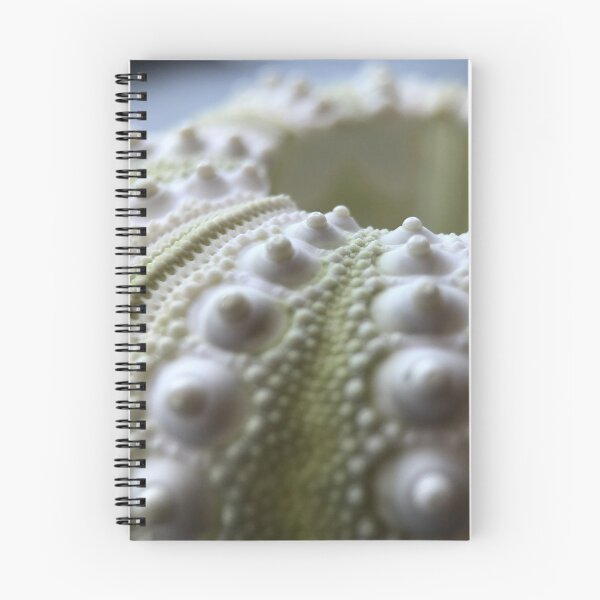 Item preview, Pencil Urchin Test designed and sold by MotherOfUrchins.