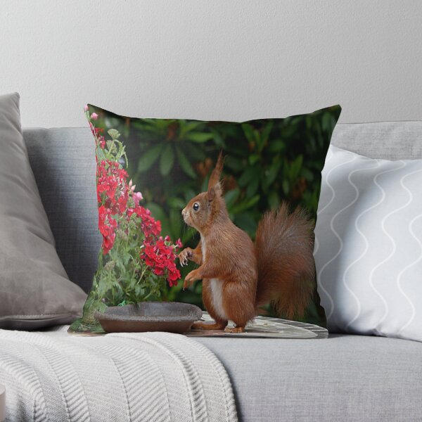  pillow Red Squirrel on Brown Table Top Throw Pillow