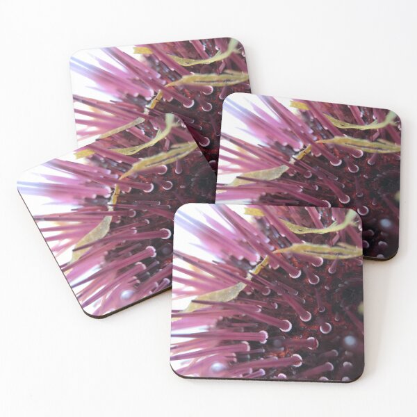 Item preview, Mediterranean Purple Sea Urchin designed and sold by MotherOfUrchins.