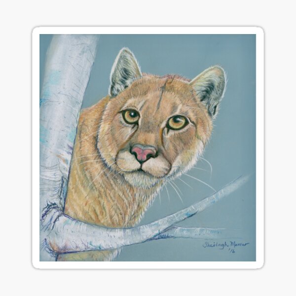INTENSE Big cat Big eyes Sticker