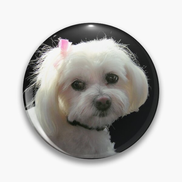 Item preview, Portrait of Muffy designed and sold by Roz McQuillan Fine Art & Photography.