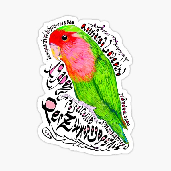 &ldquo;Rosy-faced lovebird; Rooiwangparkiet&rdquo; Sticker for Sale by michdevilish