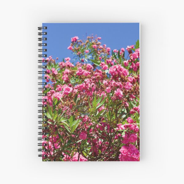 Red flowers Spiral Notebook