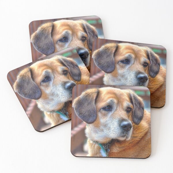 Item preview, Cookies? designed and sold by Karen Peron.