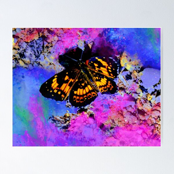 Monarch Butterfly Life Cycle Stages Art, Cottagecore Decor