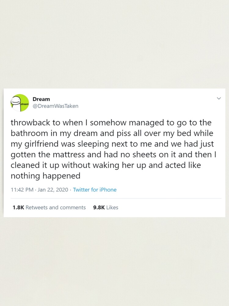 Wake up losers. Old Minx tweets just got dug up : r/DreamWasTaken2