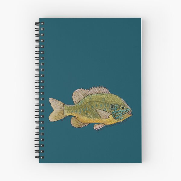 Item preview, Pumpkinseed Fish Watercolor designed and sold by mernstw.